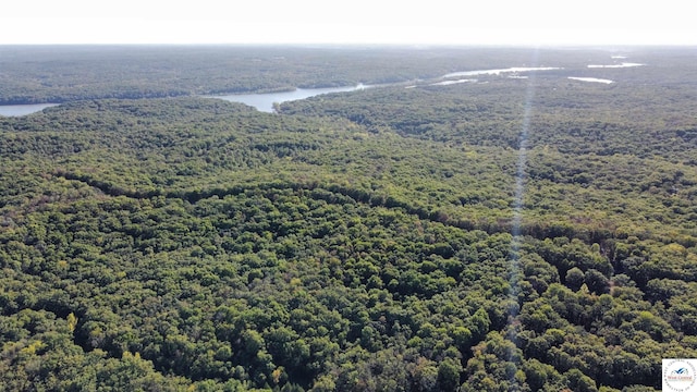 80ACRES Fair Oaks Dr, Lincoln, MO 65338 - photo 4