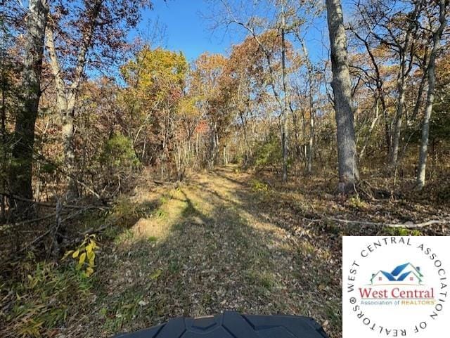 80ACRES Fair Oaks Dr, Lincoln, MO 65338 - photo 11