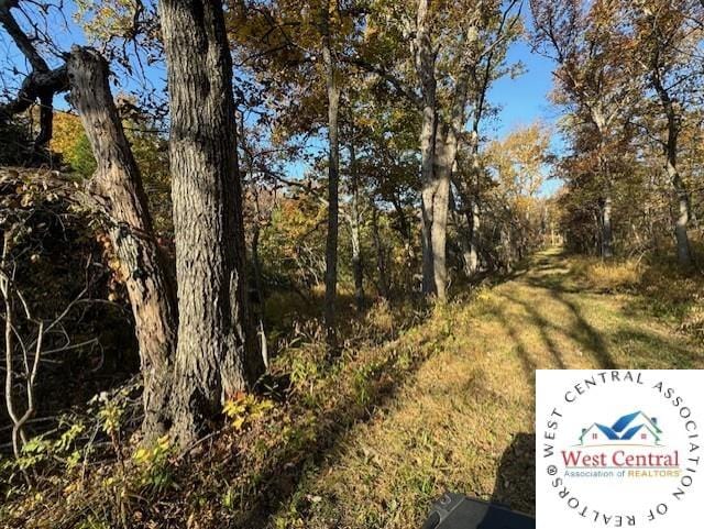 80ACRES Fair Oaks Dr, Lincoln, MO 65338 - photo 10