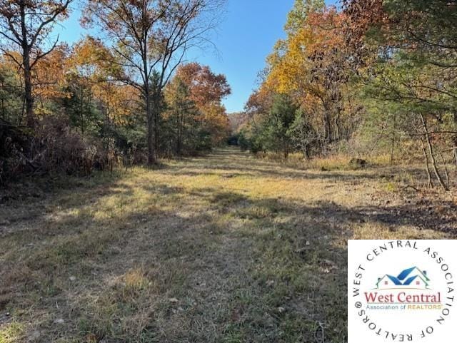 80ACRES Fair Oaks Dr, Lincoln, MO 65338 - photo 8