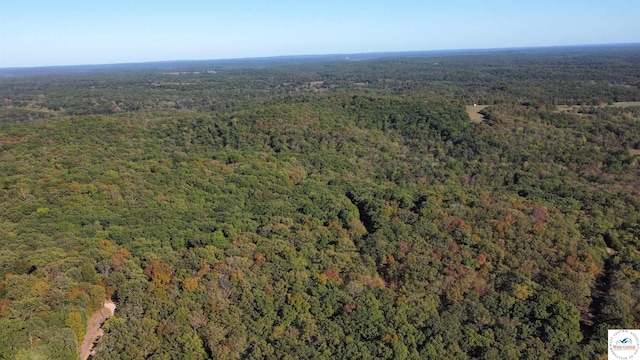 80ACRES Fair Oaks Dr, Lincoln, MO 65338 - photo 22