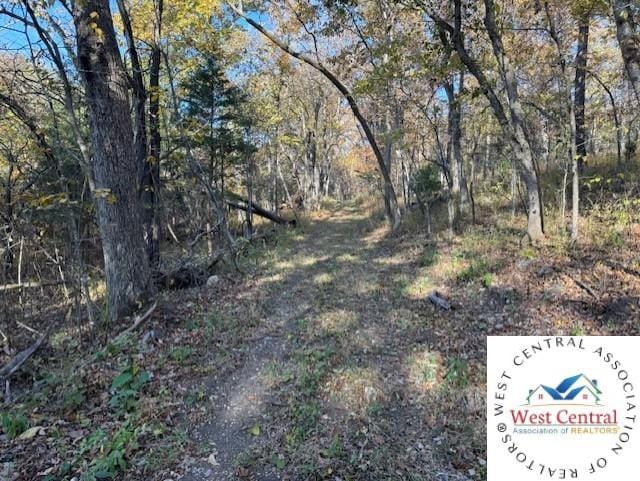 80ACRES Fair Oaks Dr, Lincoln, MO 65338 - photo 9