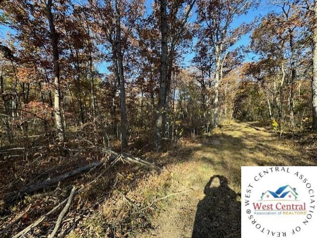 80ACRES Fair Oaks Dr, Lincoln, MO 65338 - photo 12