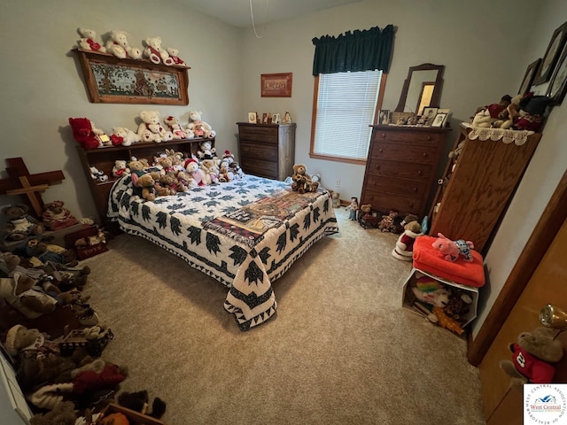 603 S Mclane St, Clinton, MO 64735 - photo 13