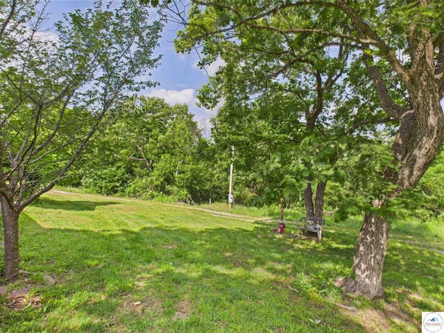 17537 Mockingbird Rd, Warsaw, MO 65355 - photo 5