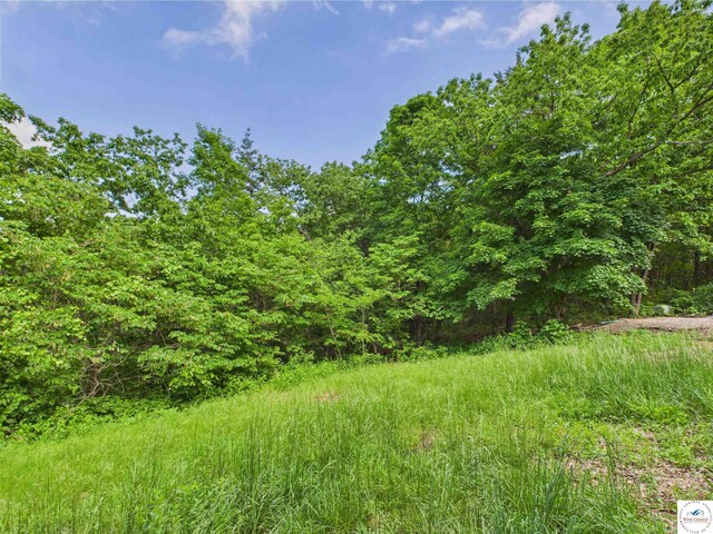 17537 Mockingbird Rd, Warsaw, MO 65355 - photo 9