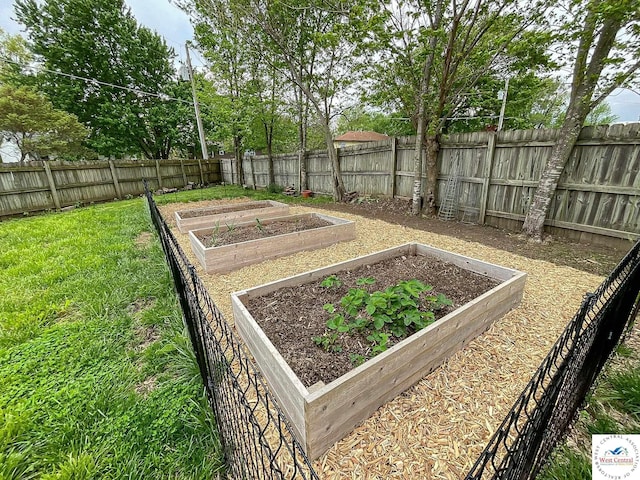 view of yard featuring a fenced backyard and a vegetable garden