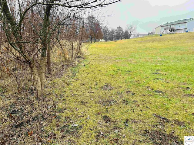 Pecan Rd, Milan, MO 63556