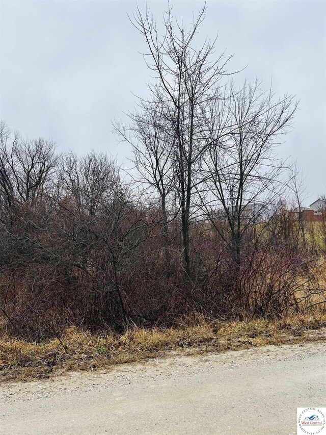 Pecan Rd, Milan, MO 63556