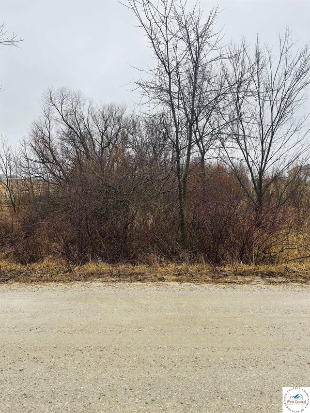 Pecan Rd, Milan, MO 63556