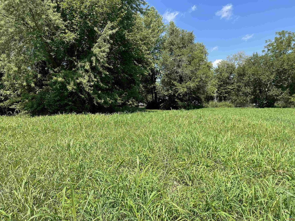 217 E Morgan St, Sedalia, MO 65301 - photo 1