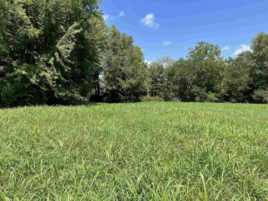 217 E Morgan St, Sedalia, MO 65301 - photo 2
