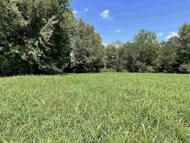 217 E Morgan St, Sedalia, MO 65301 - photo 2