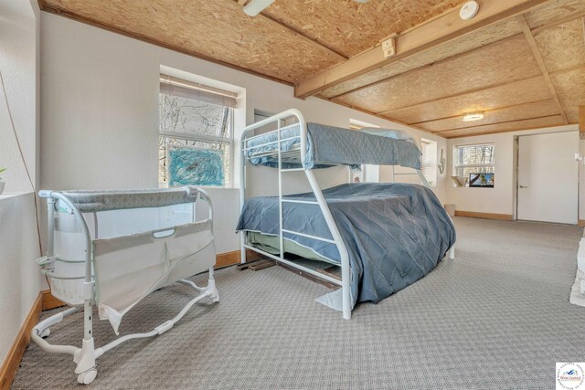 25939 Old Oar House Rd, Warsaw, MO 65355 - carpeted bedroom with multiple windows