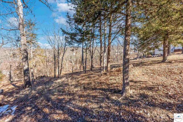 25939 Old Oar House Rd, Warsaw, MO 65355 - view of yard