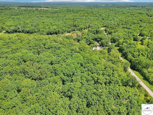 828 SE 601st Rd, Leeton, MO 64761 - bird's eye view of a forest