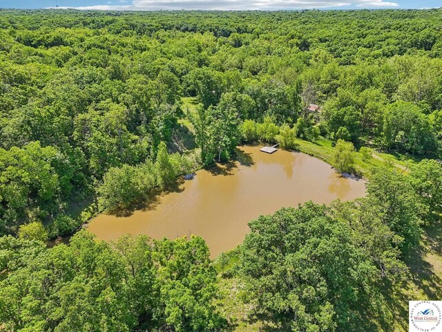 828 SE 601st Rd, Leeton, MO 64761 - drone / aerial view of a forest and a nearby body of water