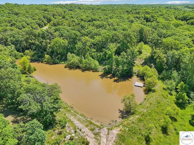 828 SE 601st Rd, Leeton, MO 64761 - drone / aerial view of a heavily wooded area and a nearby body of water