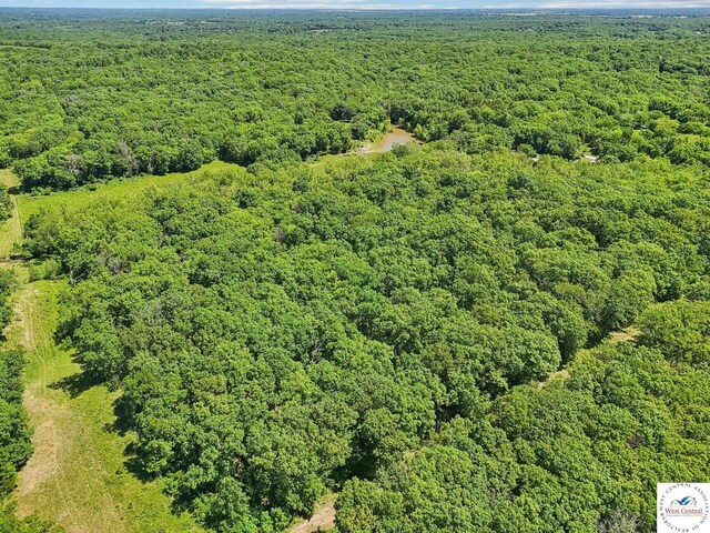 828 SE 601st Rd, Leeton, MO 64761 - bird's eye view of a heavily wooded area
