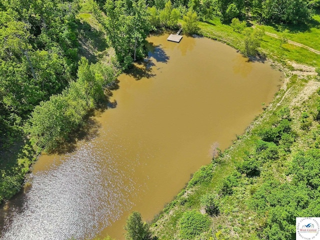 828 SE 601st Rd, Leeton, MO 64761 - bird's eye view of a nearby body of water
