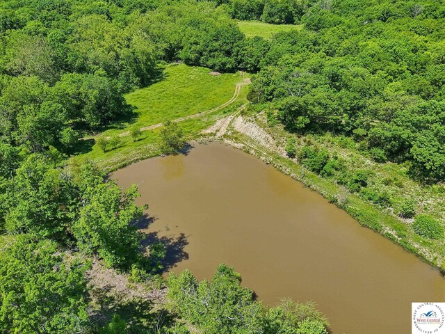 828 SE 601st Rd, Leeton, MO 64761 - bird's eye view of a large body of water