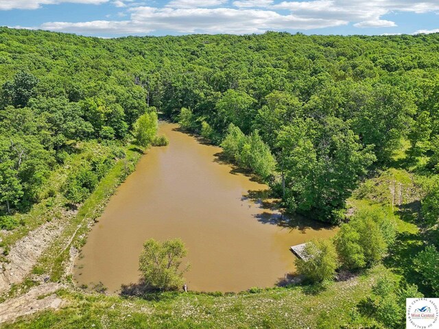 828 SE 601st Rd, Leeton, MO 64761 - bird's eye view of a heavily wooded area and a nearby body of water