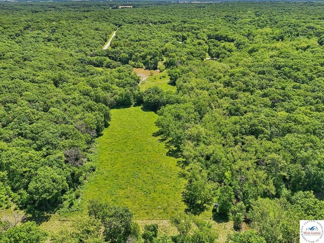 828 SE 601st Rd, Leeton, MO 64761 - drone / aerial view of a heavily wooded area