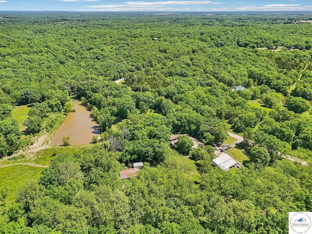 828 SE 601st Rd, Leeton, MO 64761 - aerial view of a forest