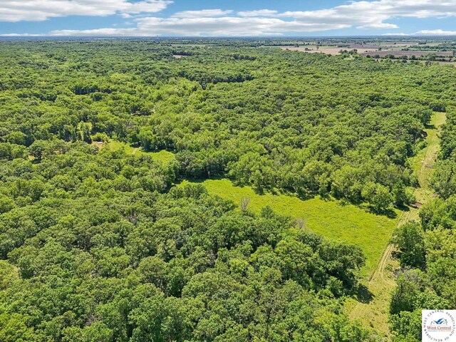 828 SE 601st Rd, Leeton, MO 64761 - aerial view of a heavily wooded area