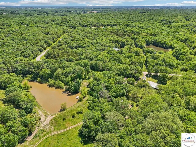 828 SE 601st Rd, Leeton, MO 64761 - bird's eye view of a forest