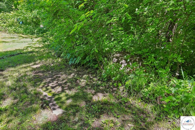 828 SE 601st Rd, Leeton, MO 64761 - view of local wilderness
