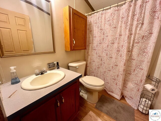 31674 Aspen Rd, Stover, MO 65078 - bathroom with wood finished floors, vanity, a shower with shower curtain, and a textured ceiling
