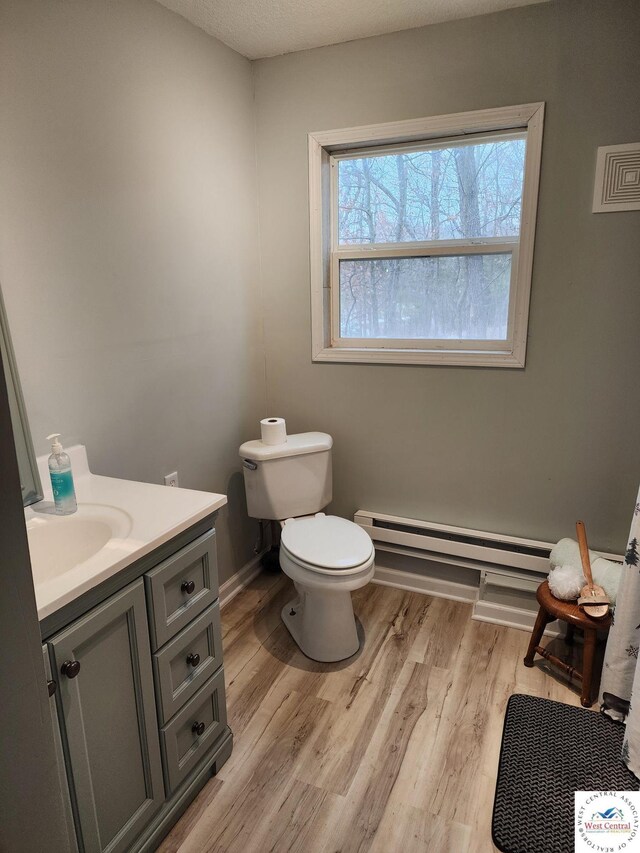 10075 Otter Rd, Clinton, MO 64735 - half bath with a baseboard radiator, vanity, wood finished floors, and toilet