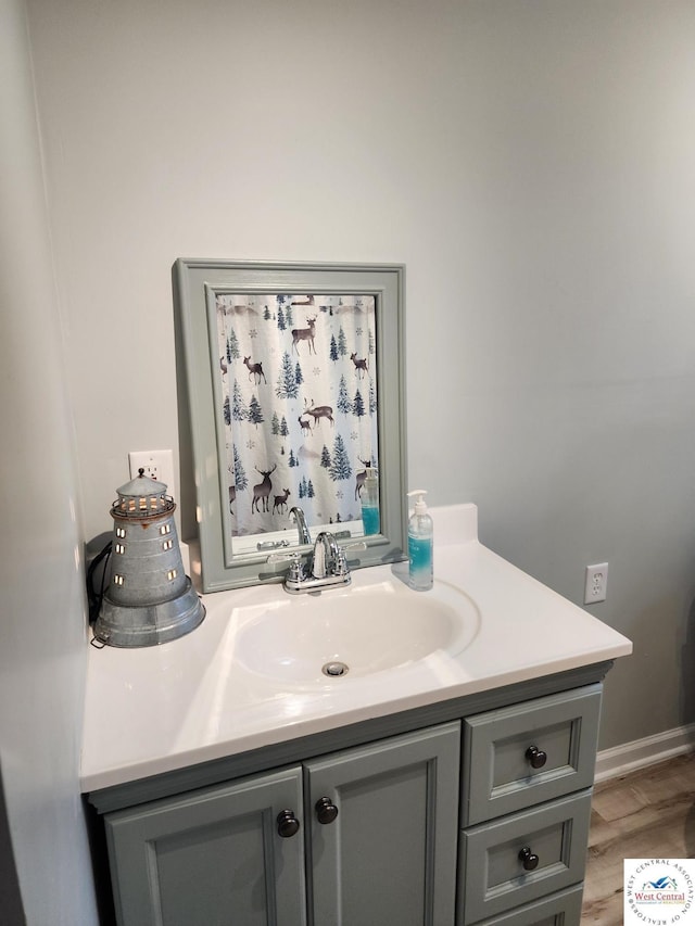 10075 Otter Rd, Clinton, MO 64735 - bathroom with vanity and wood finished floors