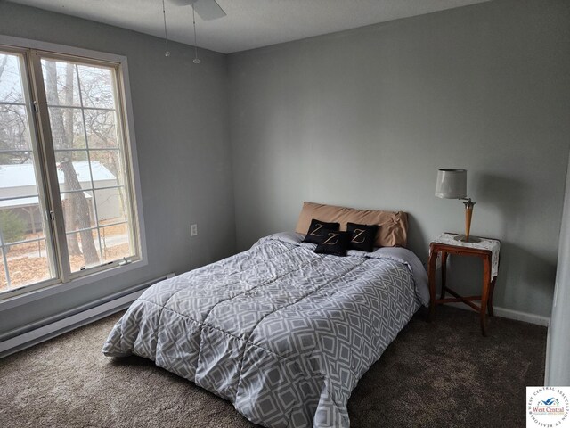 10075 Otter Rd, Clinton, MO 64735 - bedroom featuring carpet floors, multiple windows, baseboards, and a baseboard radiator