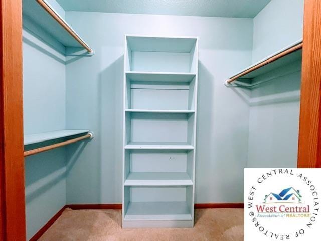walk in closet featuring carpet floors