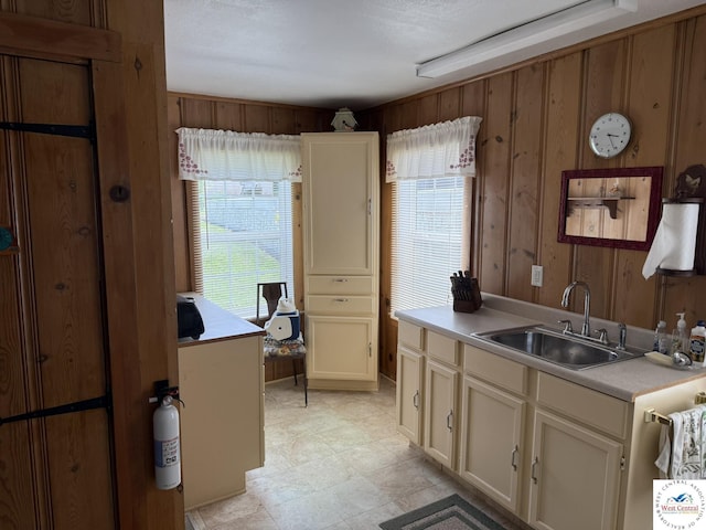 19094 Kennedy Rd, Warsaw, MO 65355 - kitchen with a sink, plenty of natural light, wooden walls, and light countertops