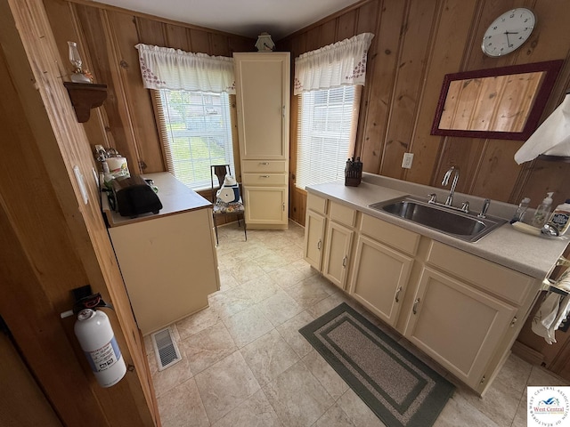 19094 Kennedy Rd, Warsaw, MO 65355 - kitchen featuring a sink, wooden walls, plenty of natural light, and light countertops