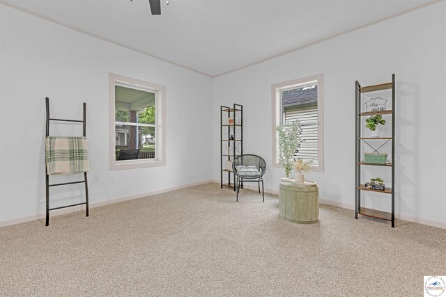 1803 S Quincy Ave, Sedalia, MO 65301 - living area with a ceiling fan, carpet floors, and baseboards