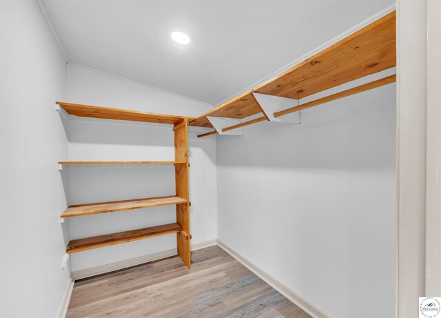 1803 S Quincy Ave, Sedalia, MO 65301 - walk in closet with wood finished floors