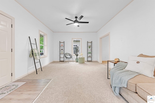 1803 S Quincy Ave, Sedalia, MO 65301 - bedroom with multiple windows, carpet, and baseboards