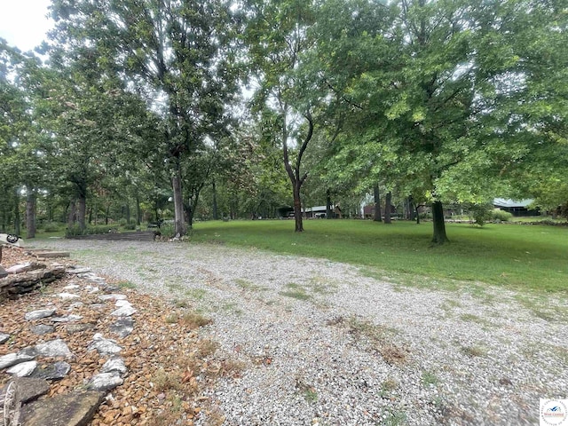 791 SE 1211th Rd, Deepwater, MO 64740 - view of grassy yard