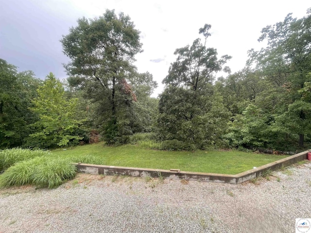 791 SE 1211th Rd, Deepwater, MO 64740 - view of grassy yard