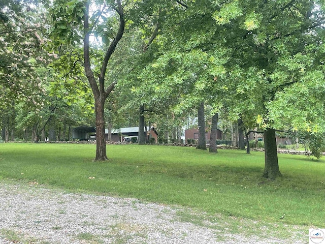 791 SE 1211th Rd, Deepwater, MO 64740 - view of grassy yard featuring a carport