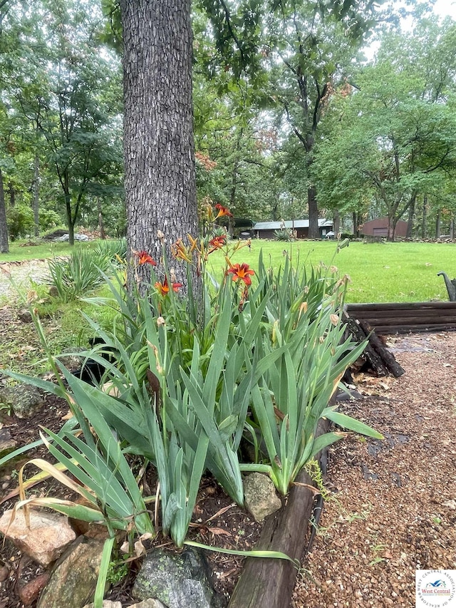 791 SE 1211th Rd, Deepwater, MO 64740 - view of green lawn
