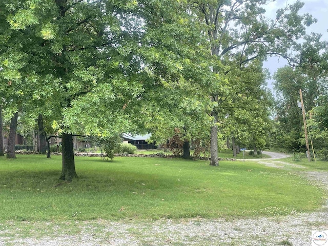 791 SE 1211th Rd, Deepwater, MO 64740 - view of green lawn