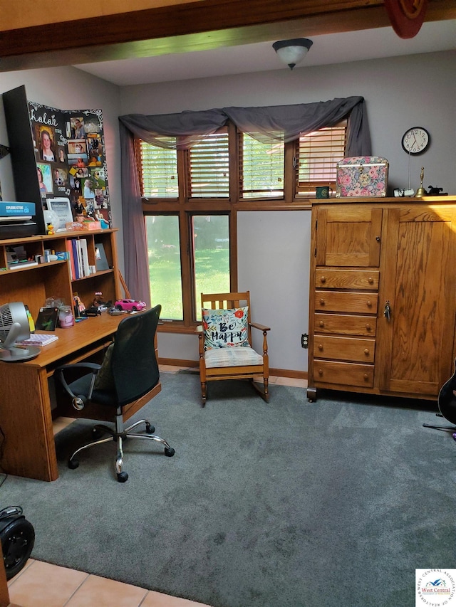 1900 E Arcadia Dr, Clinton, MO 64735 - photo 21