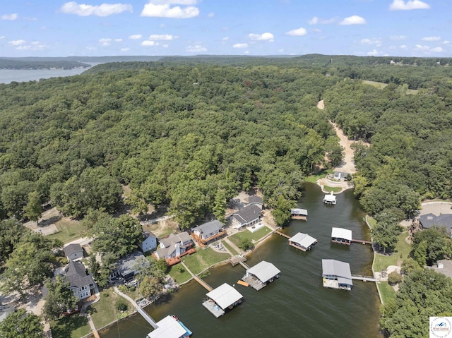 603 Southview Dr, Gravois Mills, MO 65037 - photo 48
