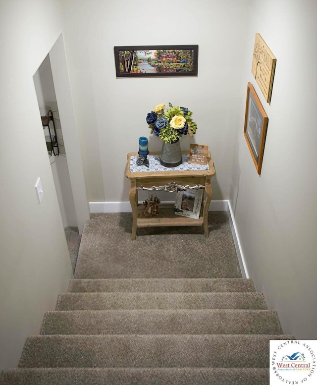 1625 W 16th St, Sedalia, MO 65301 - stairway featuring carpet floors and baseboards