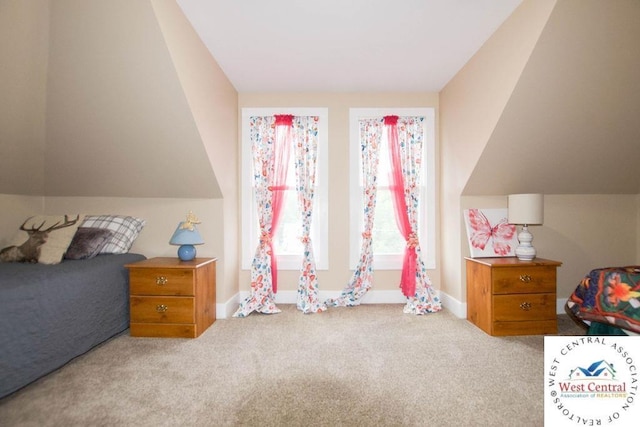1625 W 16th St, Sedalia, MO 65301 - bedroom featuring baseboards, carpet floors, and vaulted ceiling